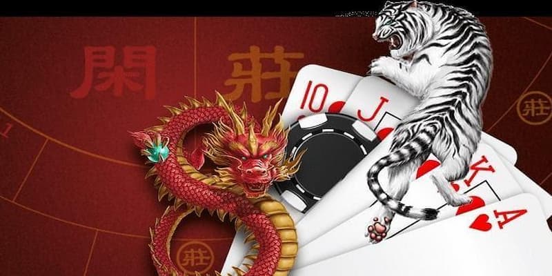 Cẩm nang chơi game Dragon Tiger thắng đậm